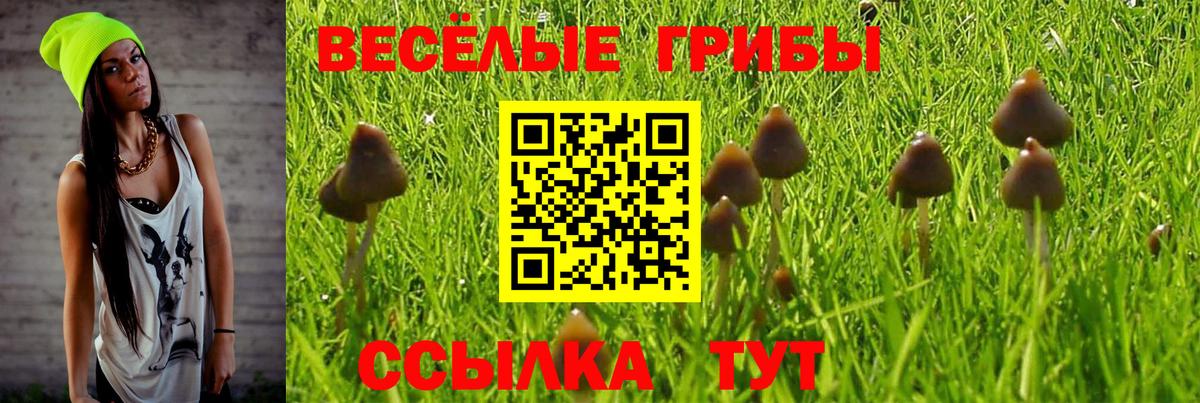  COCAIN Псков